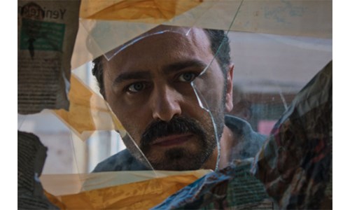 CEVİZ AĞACI